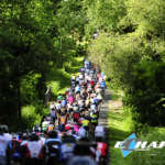 Peloton traversant une forêt Echappée - Course Pierre Le Bigaut