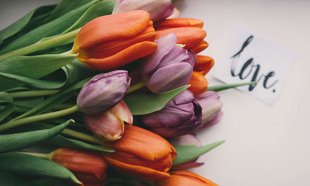 Bouquet de fleurs cadeau fete des meres séjour vélo