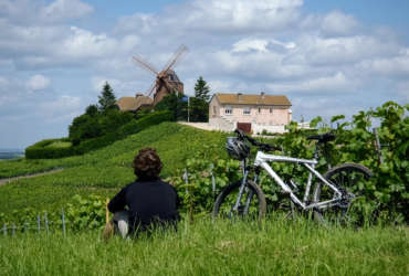 Cycliste de dos dans la nature avec vue sur n moulin en champagne