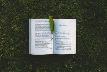 Livre dans l'herbe