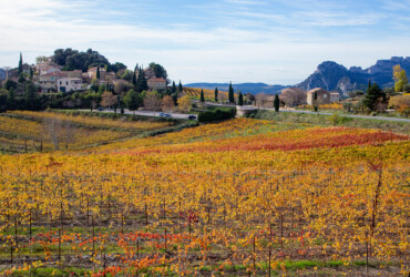 Paysage automnal d'un village surplombant une vallee de vignes oranges