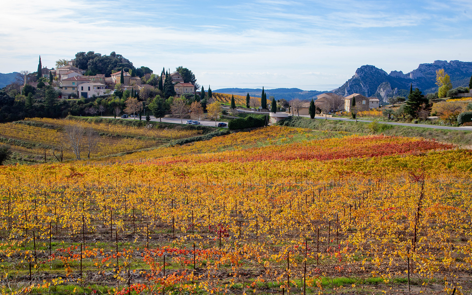 Paysage automnal d'un village surpombant une vallée de vignes oranges