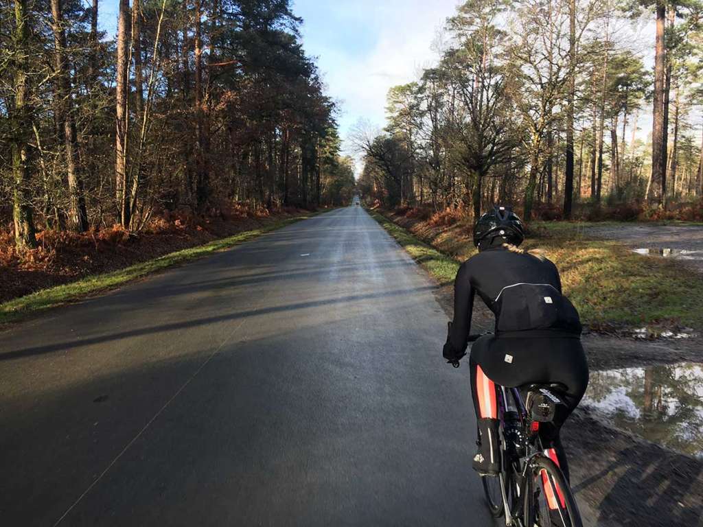 Route boisée