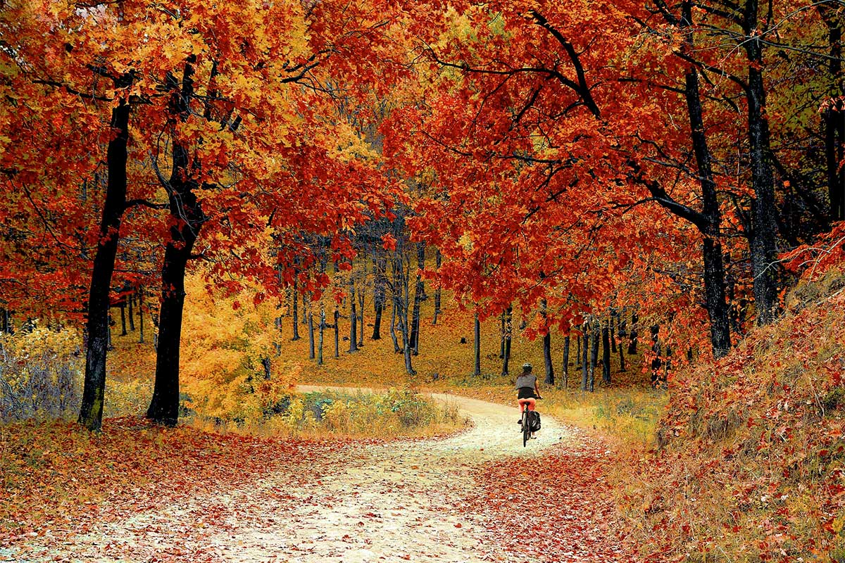 Femme à vélo dans la forêt