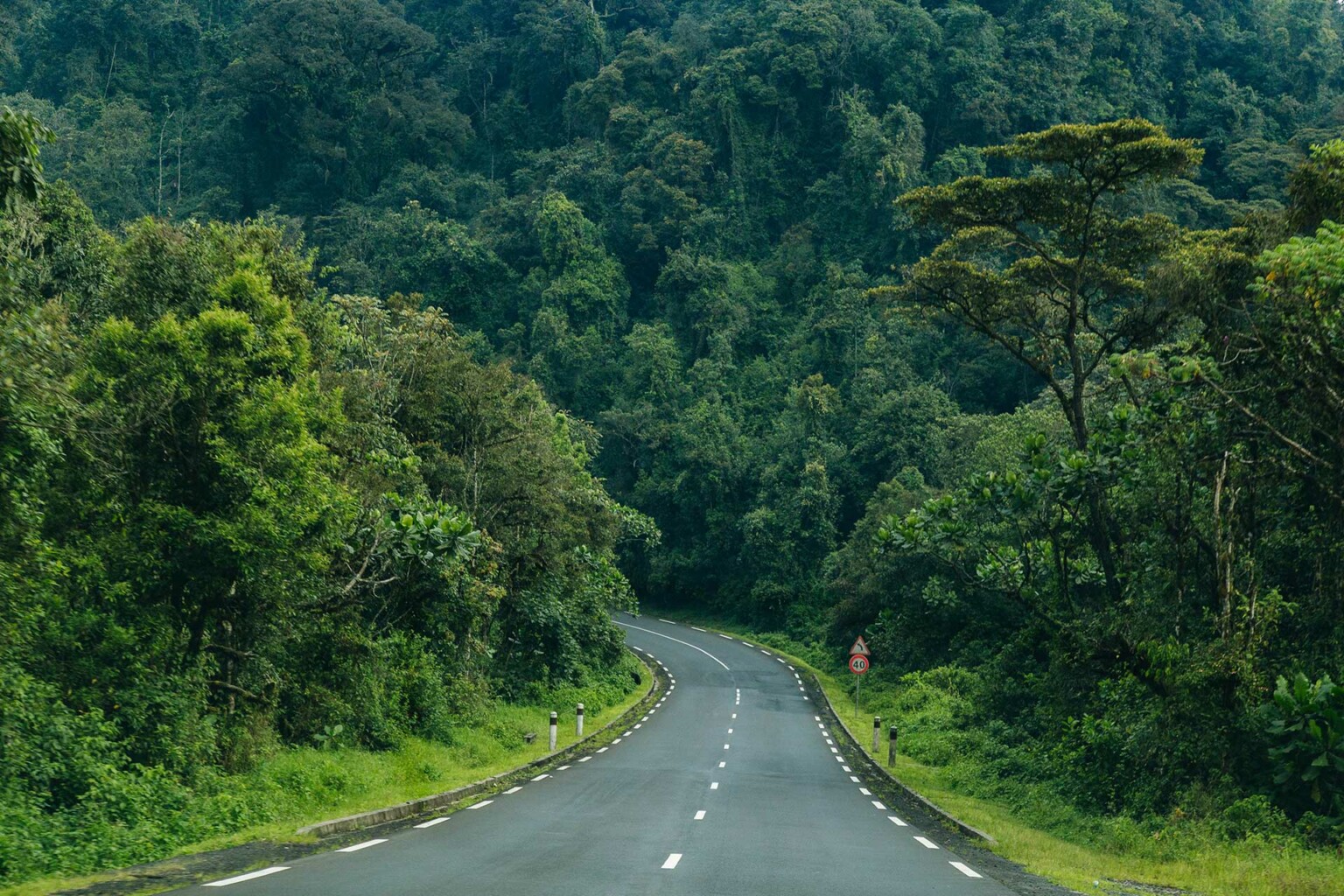 Bike trip in a forest in Rwanda