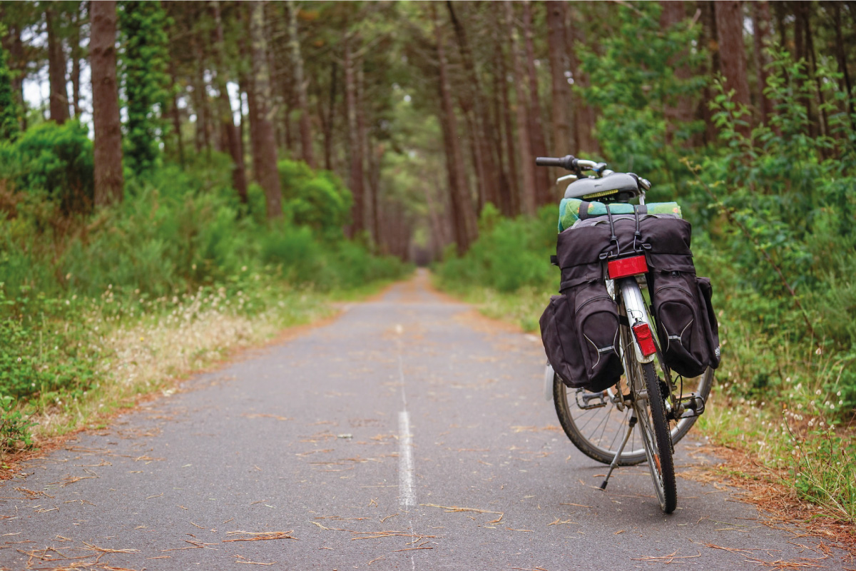 Bikepacking in the Landes forest