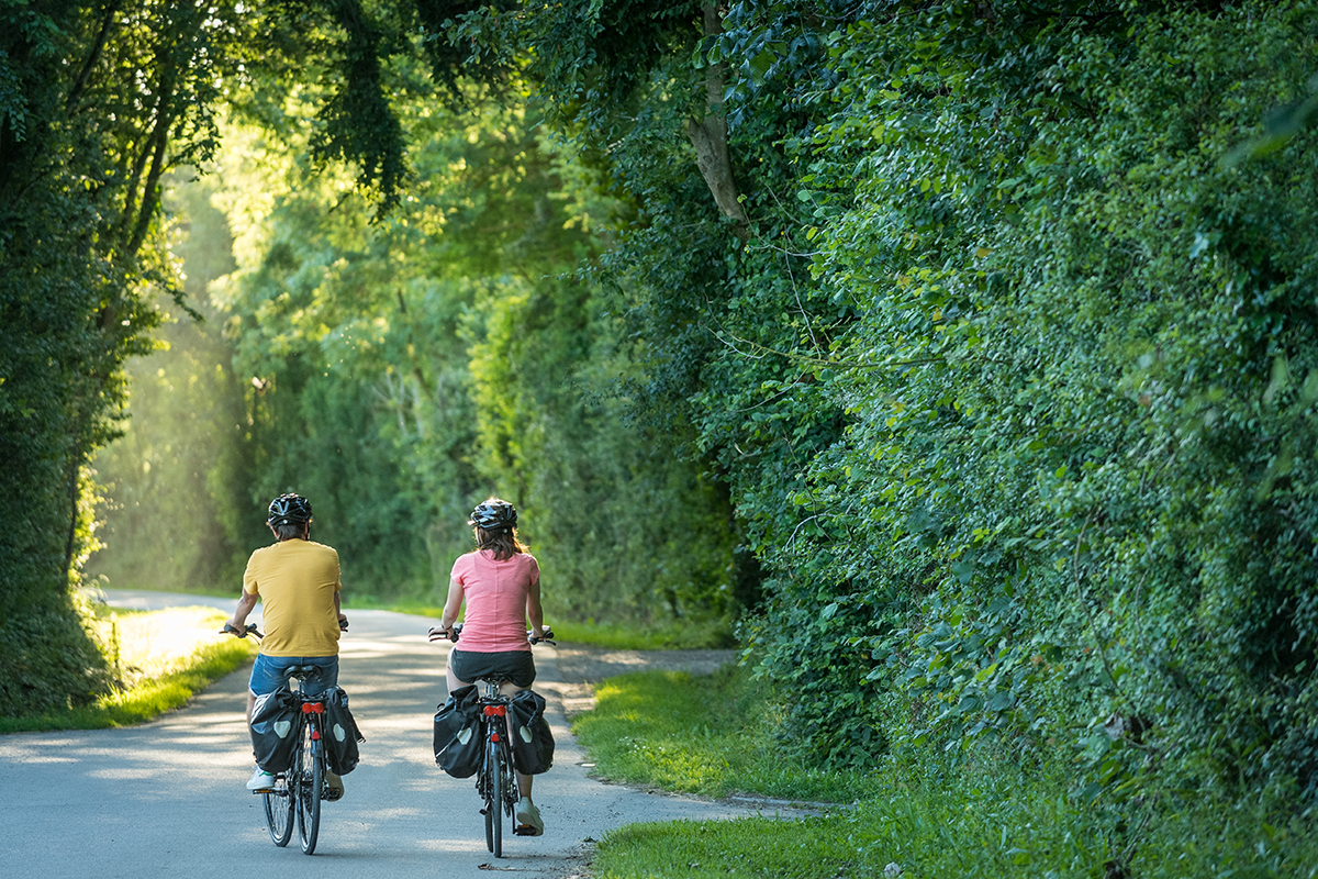 Deux cyclistes se baladent à vélo.