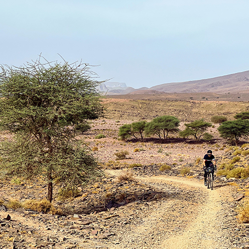 Cycliste roulant sur une piste de sable jaune dans le désert marocain