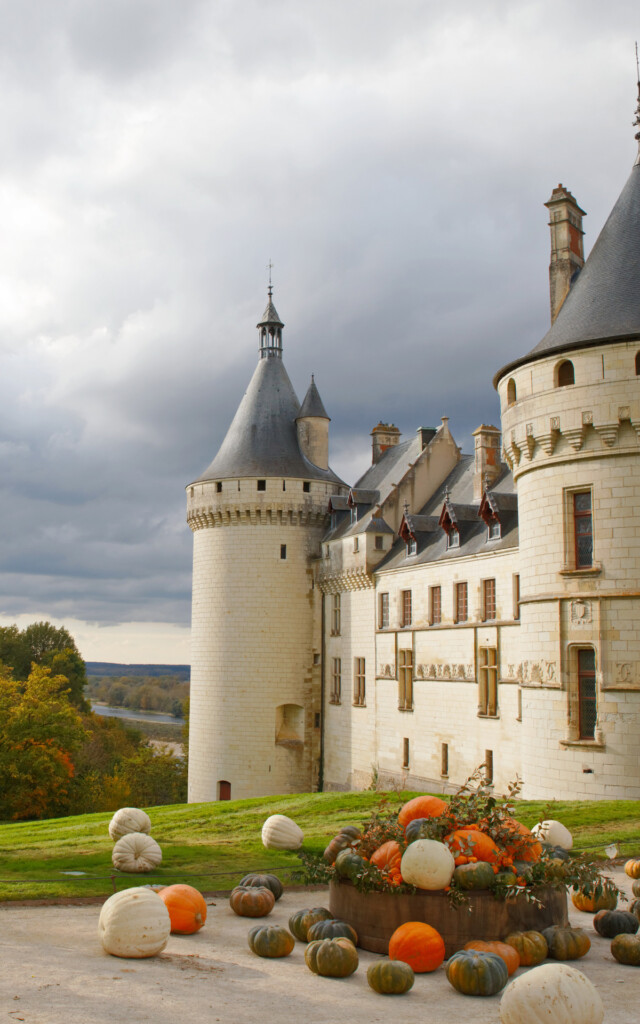 Les citrouilles au pied du Château de Chaumont