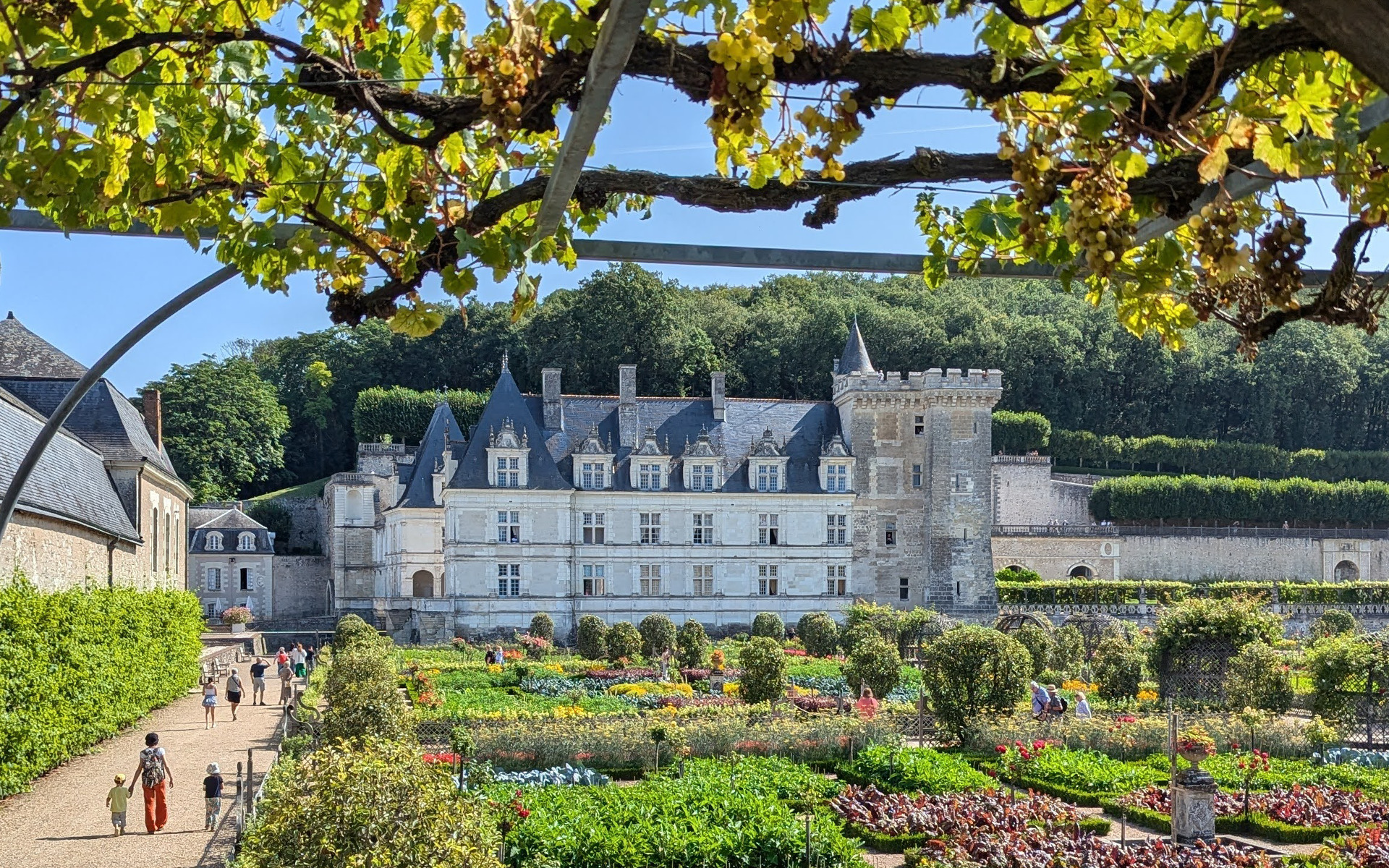 Château de Villandry and its colorful gardens