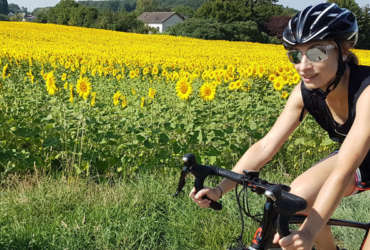 Aurélie au milieu des champs de tournesol