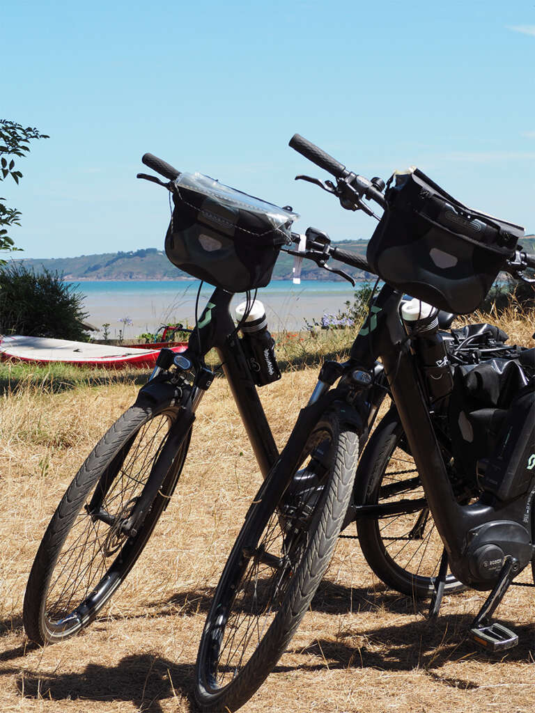 Electrically assisted bicycles