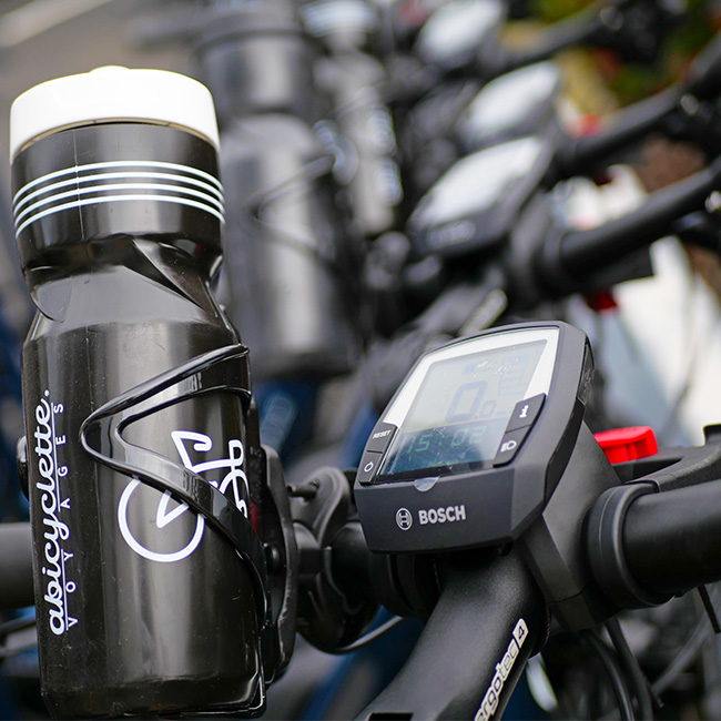 Bosch electric bike computer