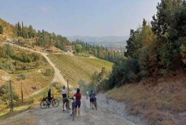 Cyclists admire an Italian valley and its vineyards