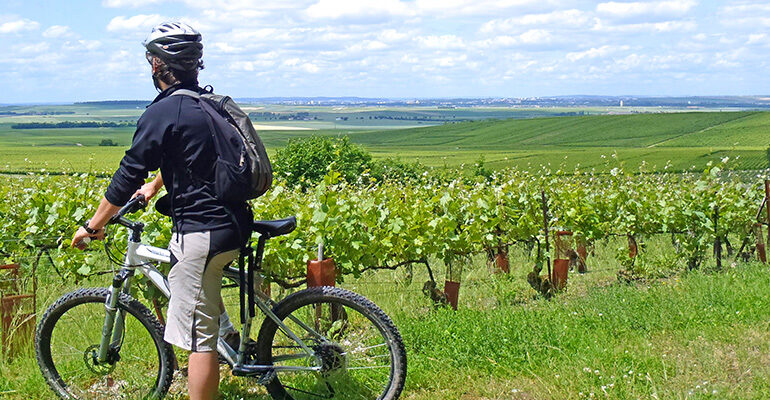Un cycliste dans les vignes vertes