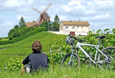 Un cycliste assis dans l'herbe regarde un paysage de vignes vertes et son moulin
