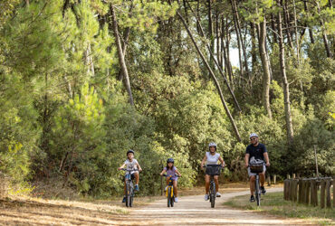 Une famille de cycliste roule sur un chemin cyclable entoure de foret de pins