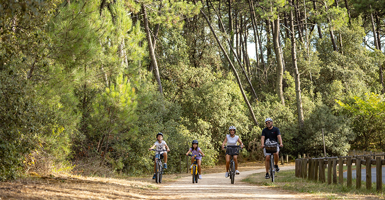 Une famille de cycliste roule sur un chemin cyclable entoure de foret de pins