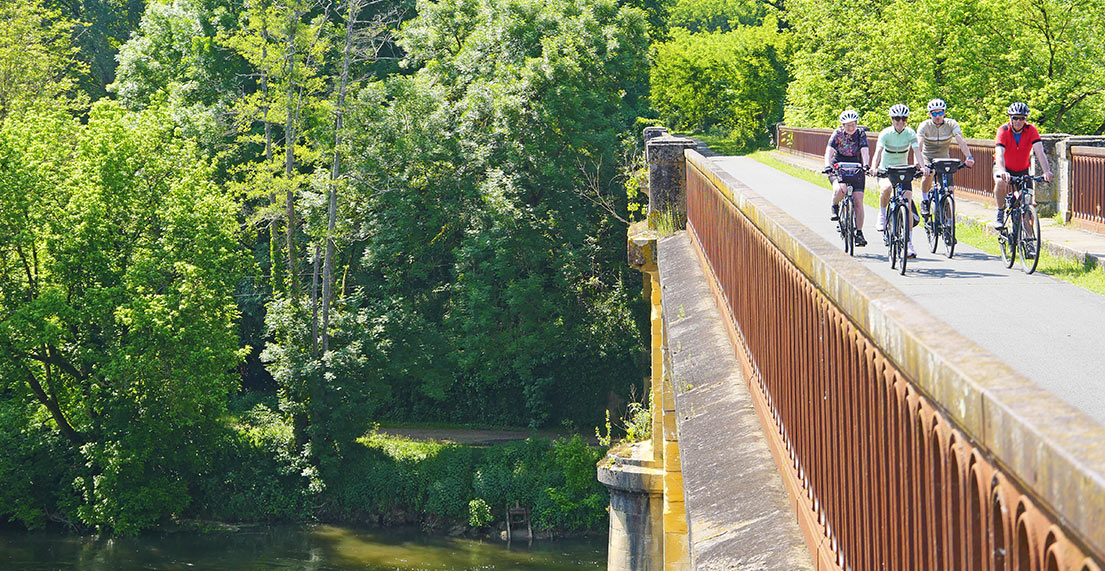 Un groupe de cycliste roule sur une chemin cyclable entouré de forêt