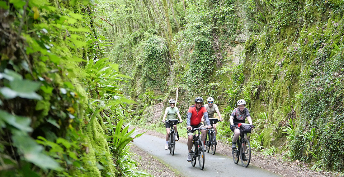 Un groupe de cycliste roule sur une chemin cyclable entouré de forêt
