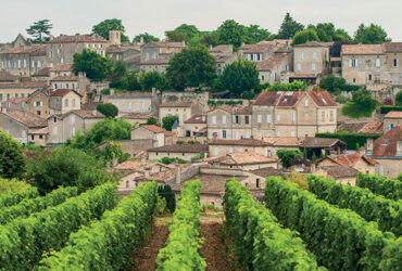 La ville de Saint-Emilion vue depuis les vignes