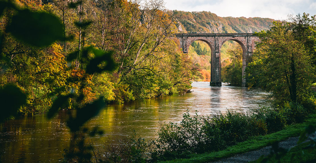 Un chemin de foret longeant une riviere