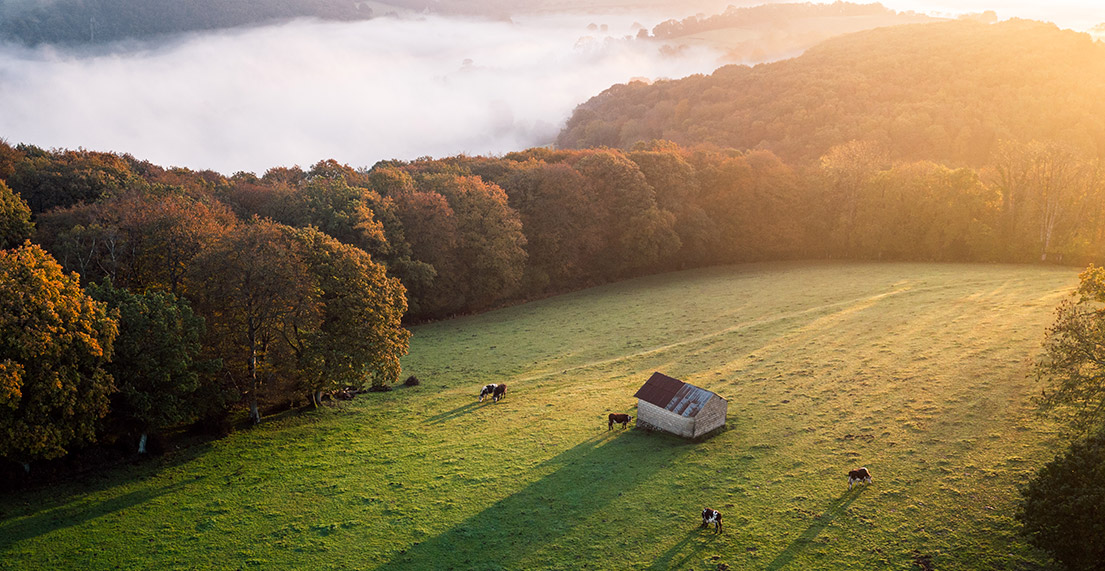 Vue aérienne sur les pleines de la suisse normande et ses champs de bovins