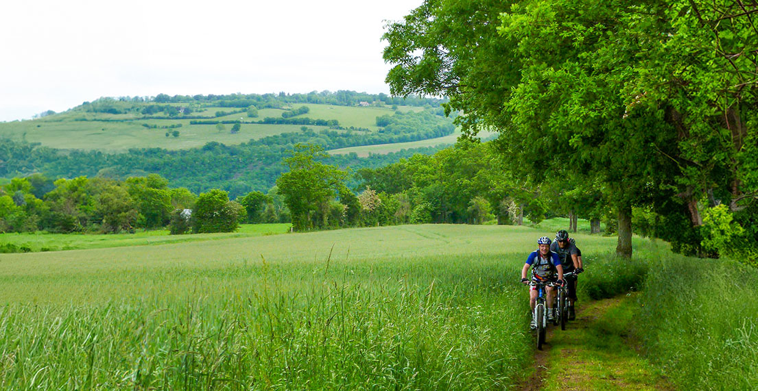 Un groupe de cycliste roule sur un petit chemin de foret