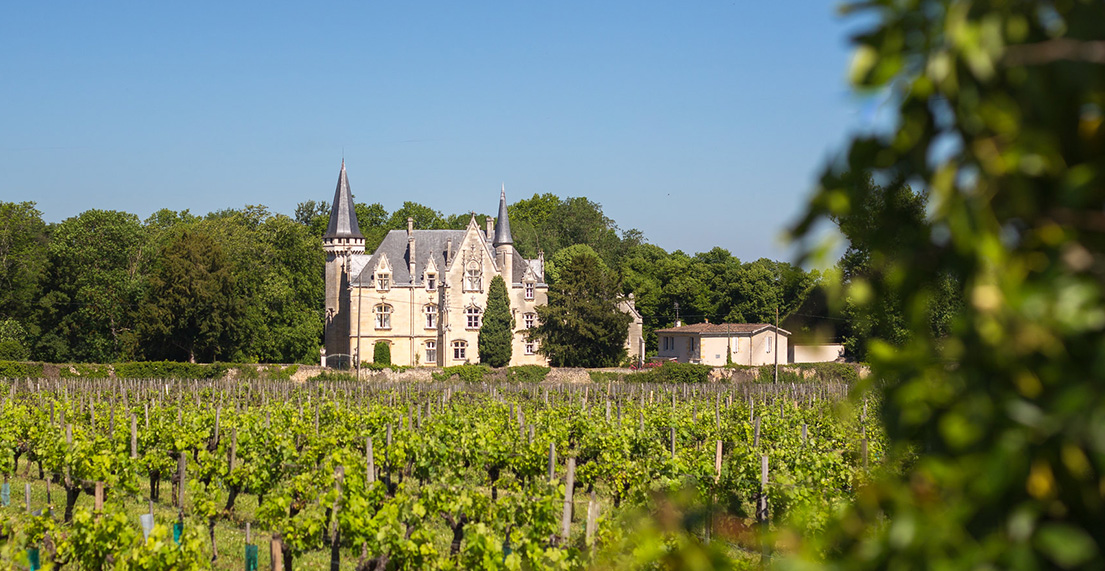 Un chateau situé au beau milieu des vignes