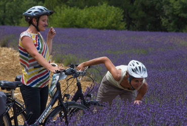 2 femmes à vélo dans les champs de Lavande