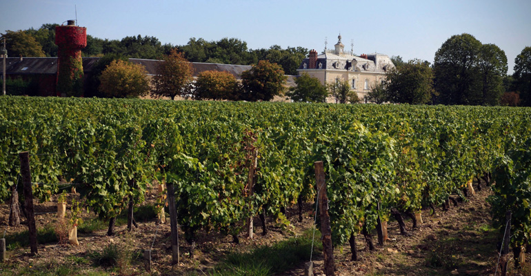 Vignoble Azay le rideau