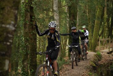 4 hommes à VTT s'appuient contrent des arbres VTT A l'assaut des Monts d'Arrée