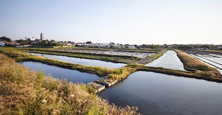 Marais salants de Noirmoutier Les îles vendéennes à vélo