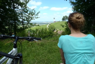 Femme observant un paysage de vignobles champagne