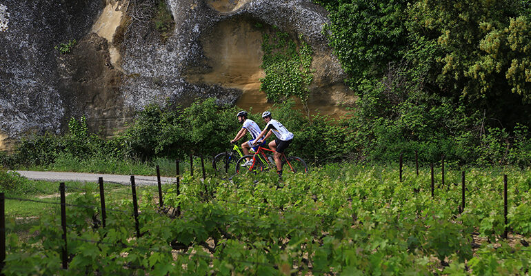 Un couple de cycliste roule au milieu des vignes