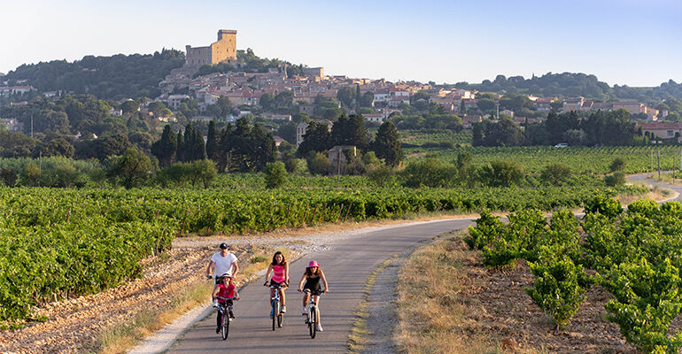 Une famille de cyclsites roule au milieu des vignes