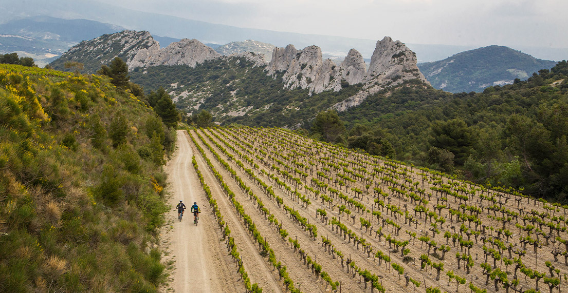 Deux cycliste roulent dans le parc des alpilles entre montagnes et vignes