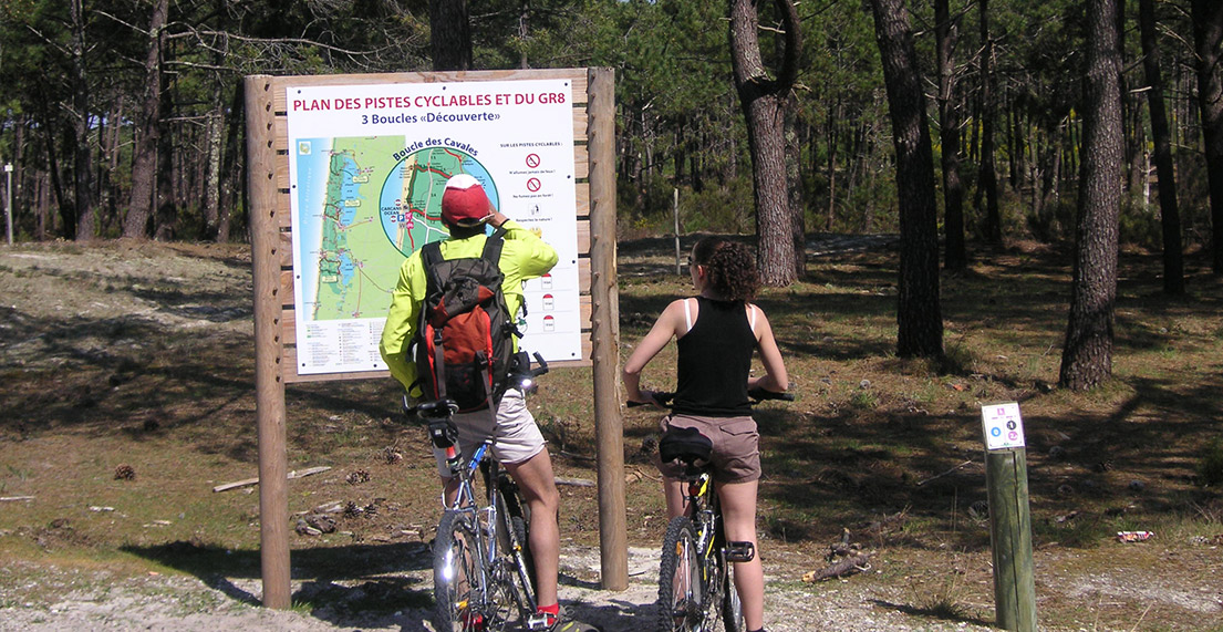 Un couple de cycliste regarde une carte dans la forêt des Landes