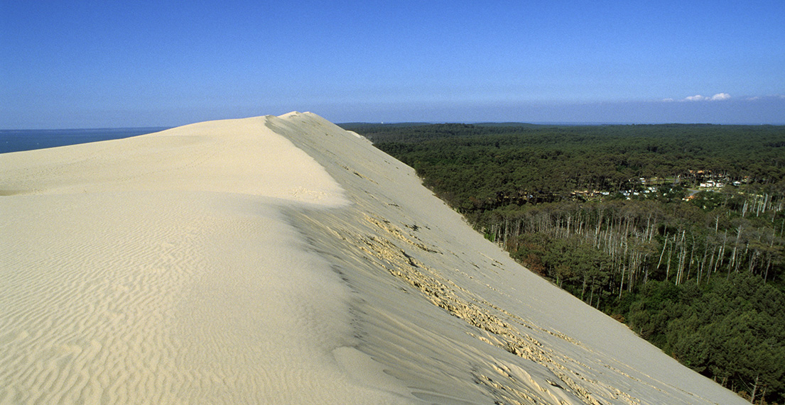 La dune du Pilat surplomb la forêt des Landes