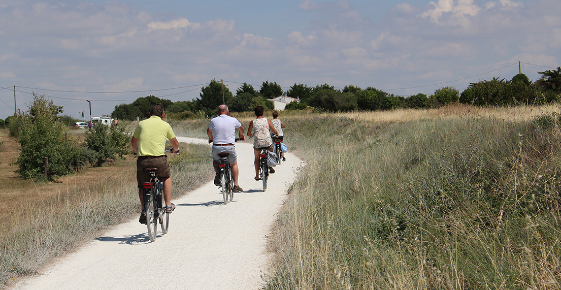 Un groupe de cycliste roule sur des chemins cyclables blancs
