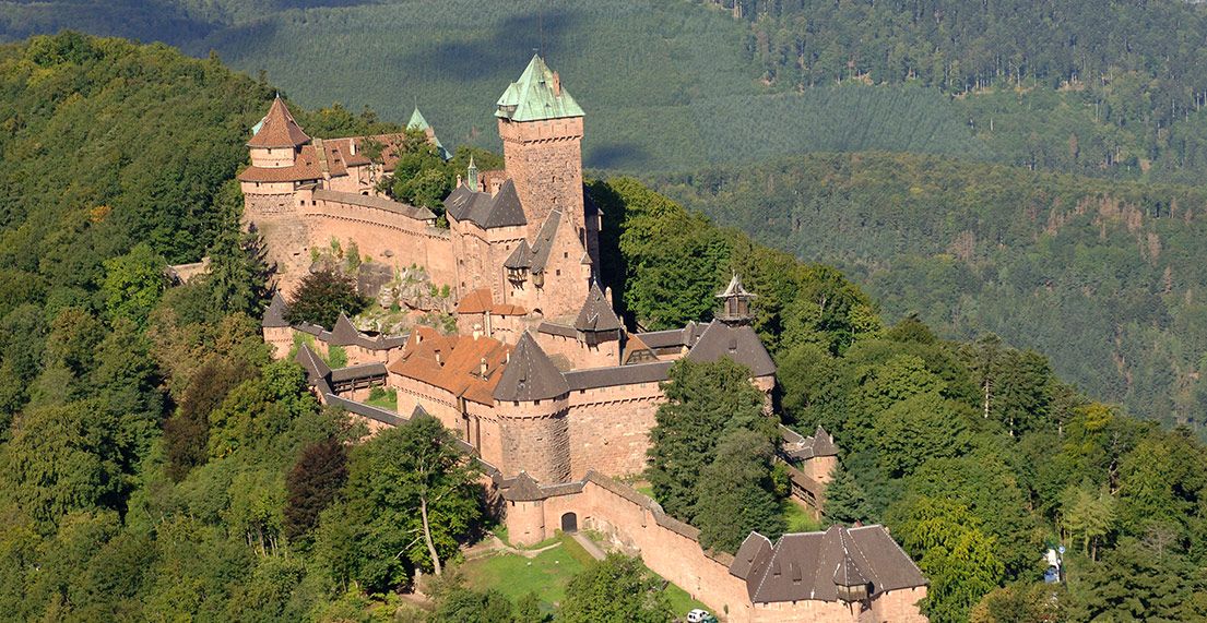 Vue aérienne d'un chateau entouré d'arbres et de foret