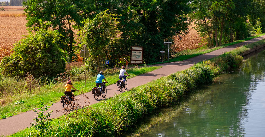 Un groupe de cyclistes roule le long des canaux