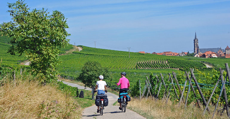 Cyclistes Alsace dans les vignes