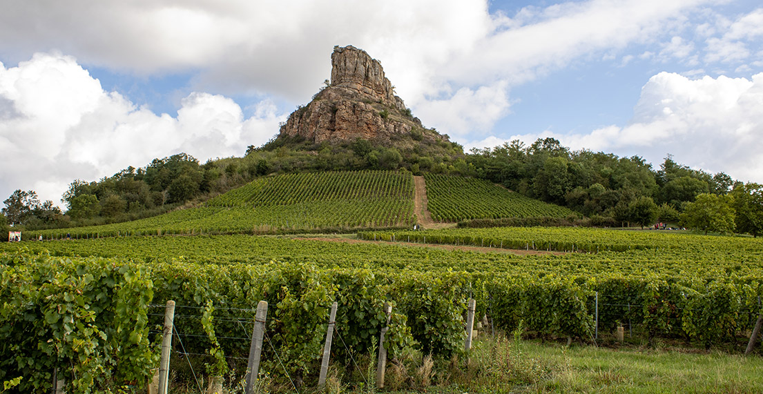 La Roche solutre surmontant des vignobles