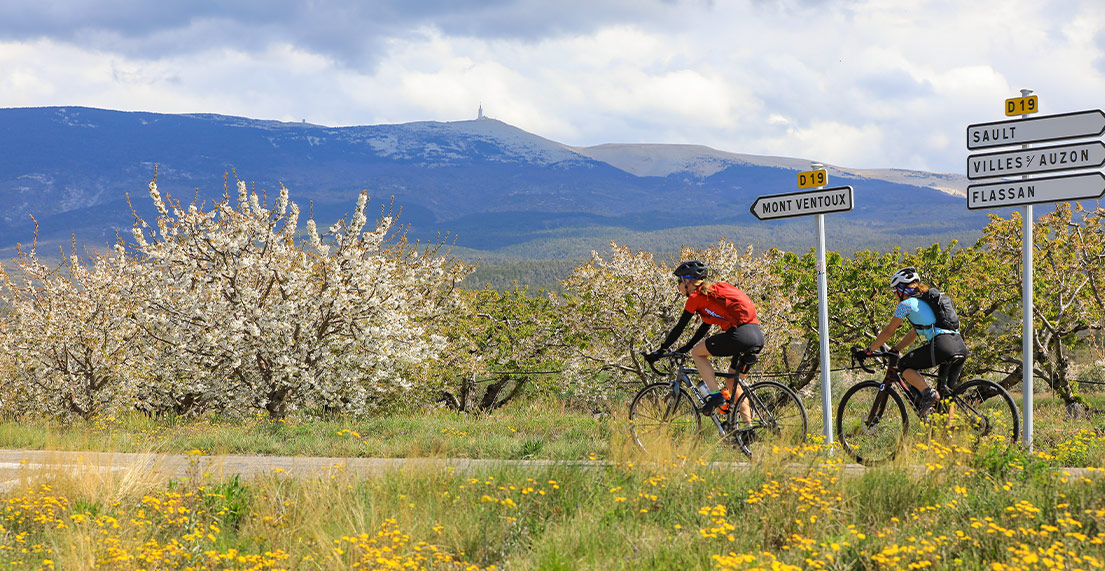 Un cycliste roule sur une route en direction du Mont Ventoux