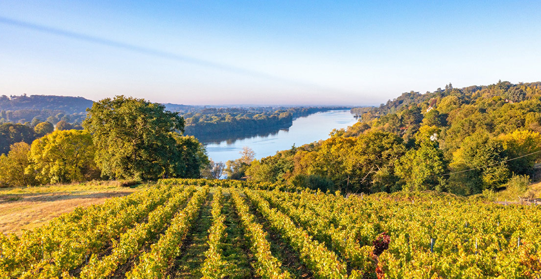La Loire vue depuis les vignobles