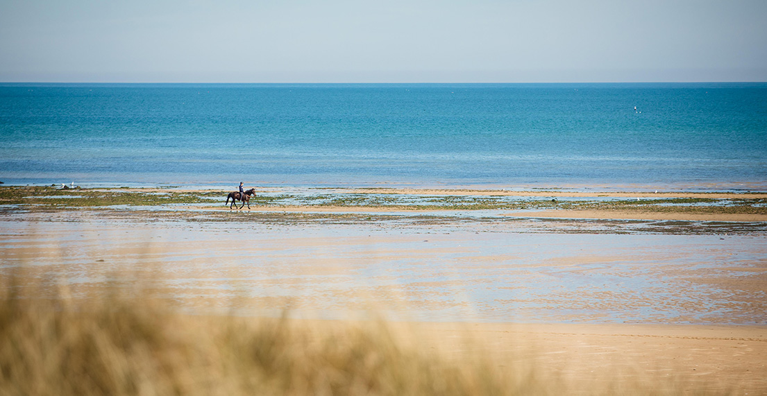 Une longue plage de sable