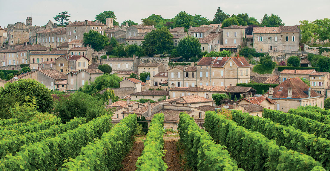 Vue sur Saint Emilion depuis les vignobles