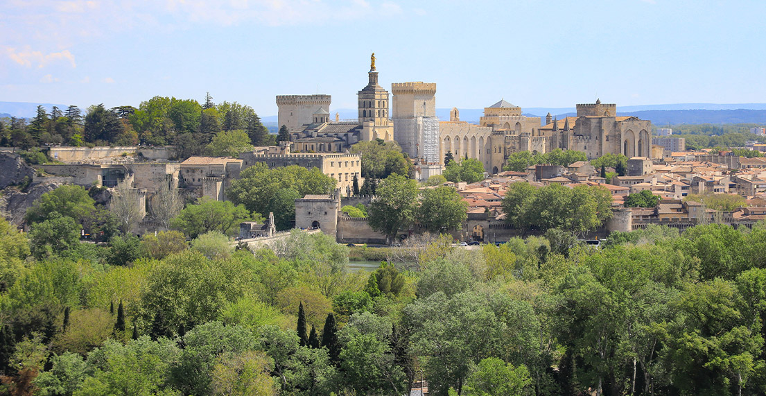 Vue aerienne de Avignon et de la citee des papes