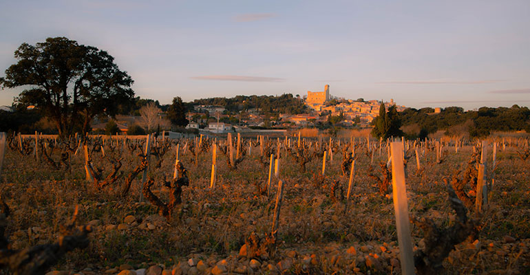 Chateauneuf du pape village côte du Rhône dans le Vaucluse